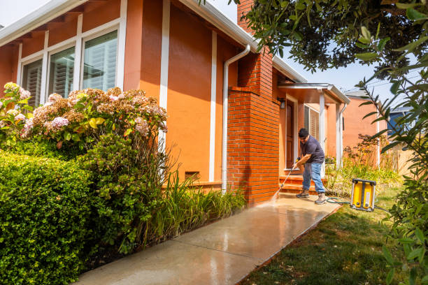 Best Affordable Pressure Washing  in Start, LA