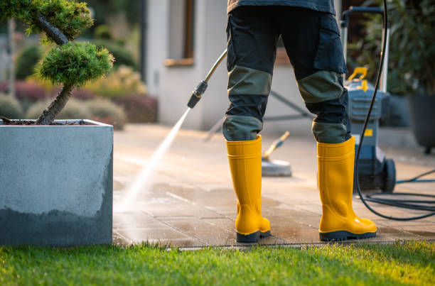 Best Pressure Washing Services Near Me  in Start, LA